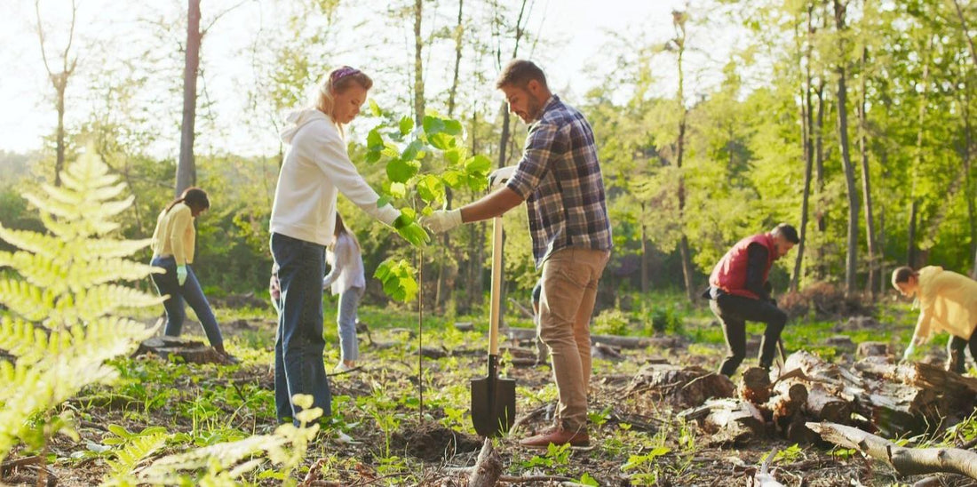 Volunteers planting young trees together in a forest, symbolizing EcoJTees' partnership with Ecologi to restore forests and plant one tree with every apparel purchase.