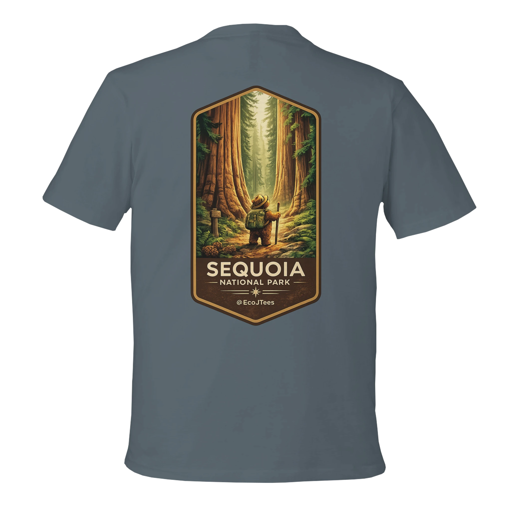 Gray t-shirt with Sequoia National Park graphic on the back