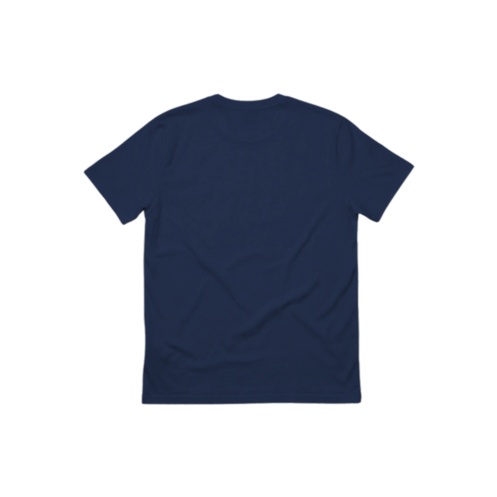 USA Varsity Flag organic cotton t-shirt, additional color option