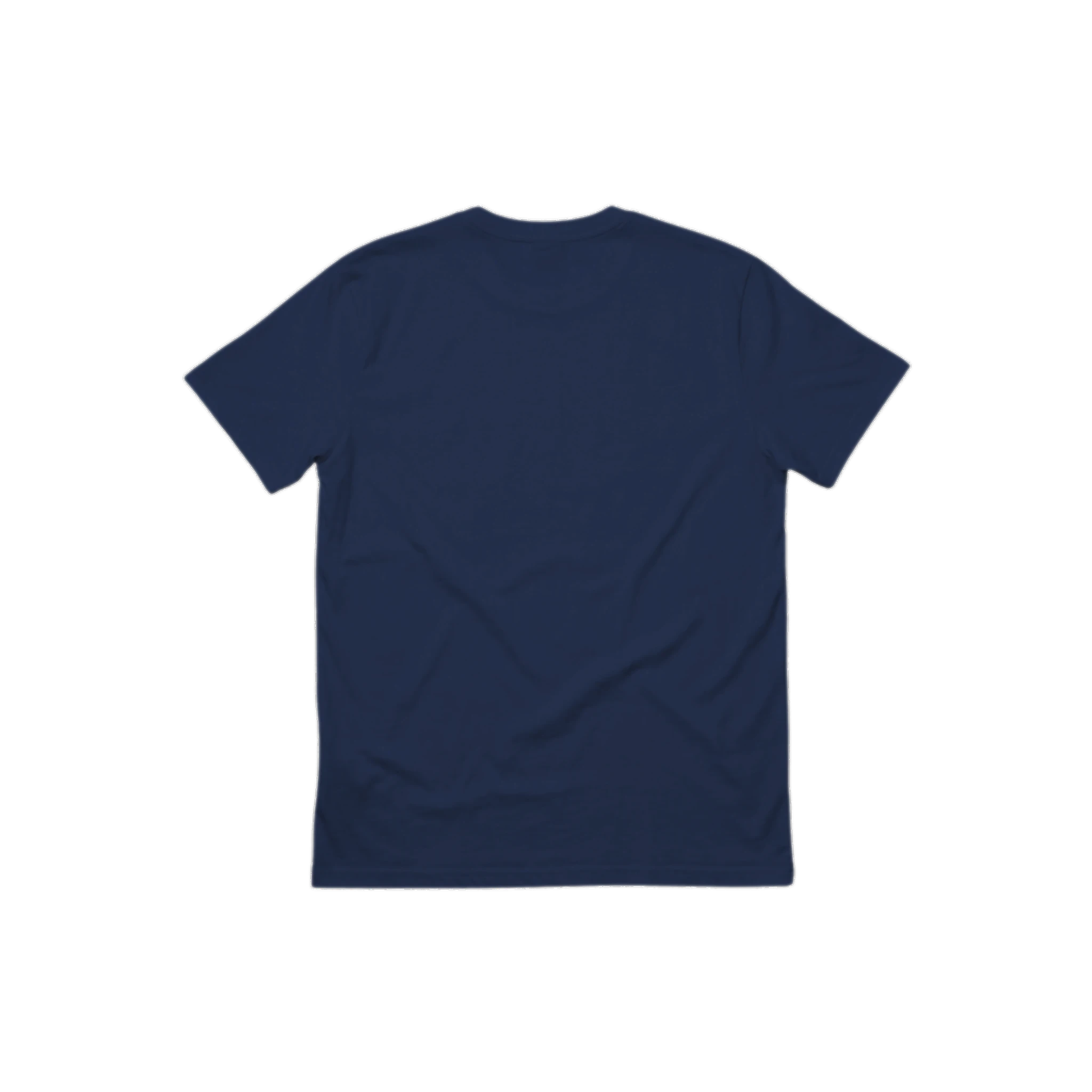 USA Varsity Flag organic cotton t-shirt, additional color option