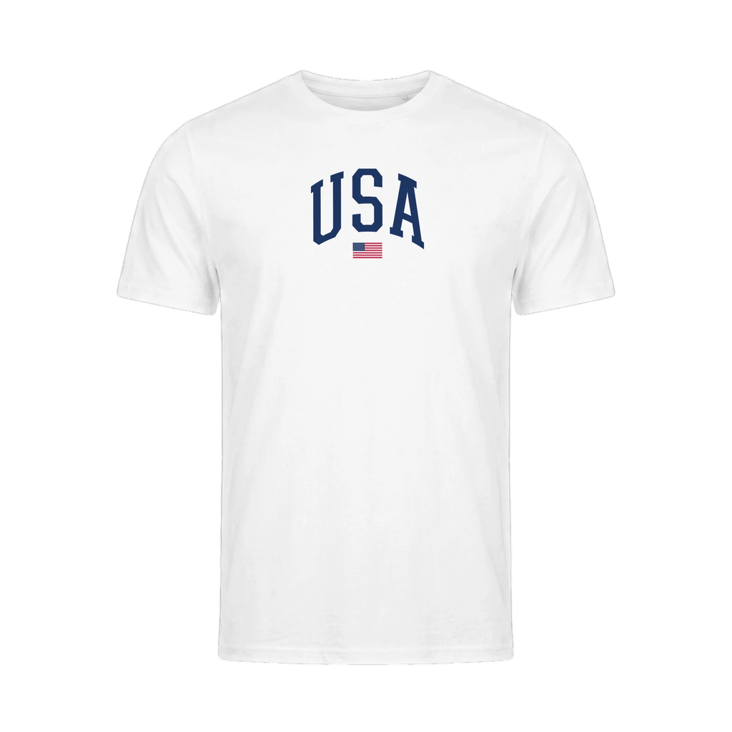 USA Varsity Flag organic cotton t-shirt, back view