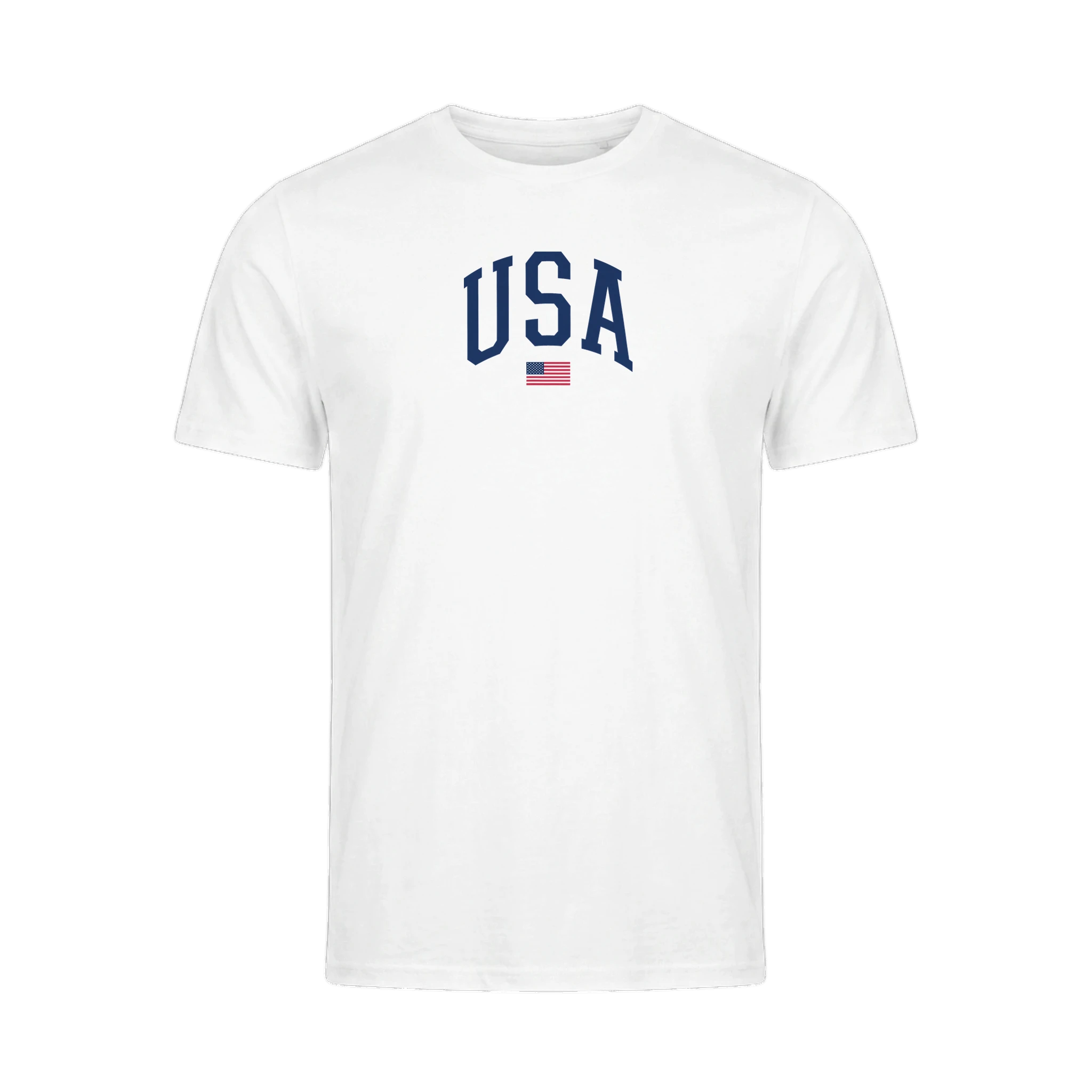 USA Varsity Flag organic cotton t-shirt, back view